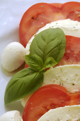 Insalata caprese - Antipasti - Ricette della Campania