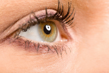 eye
