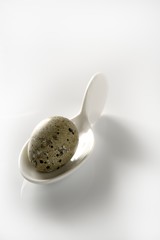 Quail egg in a ceramic white spoon