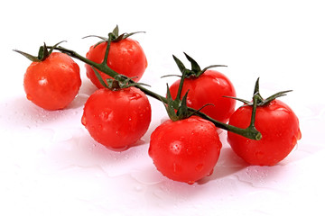 Tomatoes