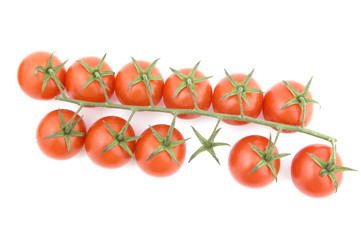 tomato on white