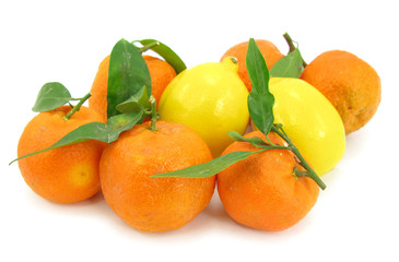 Tropical frutis mandarin oranges and lemons