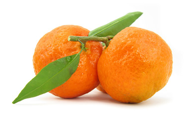 Clementines mandarin oranges perfect