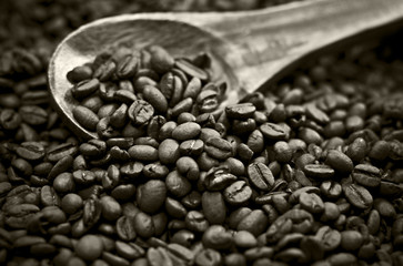 Full frame of coffee beans in sepia tones.
