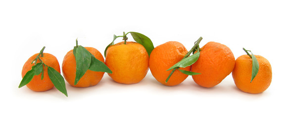 Clementines mandarin oranges perfect