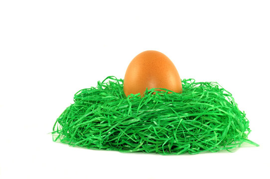 Osterei im Nest