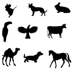 Animal Silhouettes