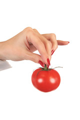 Biogem&uuml;se - Tomate