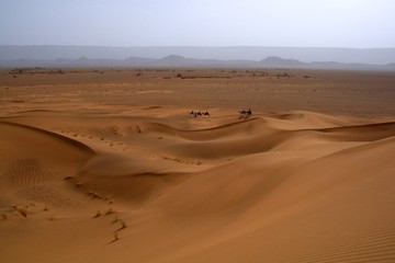 Fototapeta na wymiar Caravan w marokańskiej pustyni