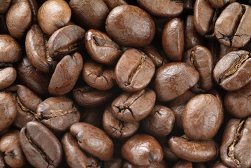 Coffee beans.