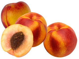 Fruit a peach and apricot hybrid