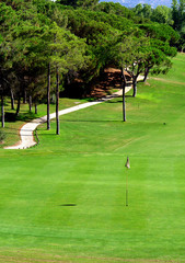 Golf course green