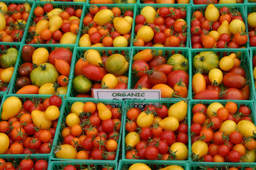 Organic Yellow and Red Cherry Tomatoes at Farmers Market
