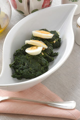 Cicoria in insalata - Contorni - Cucina vegetariana