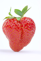 Strawberry on white background