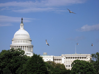 united states capitol building