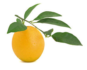 Orange isolated on white background