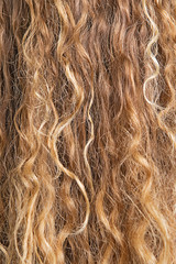 texture of blond hair
