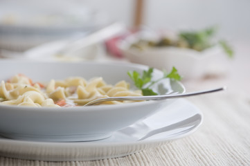 Chicken Noodle Soup