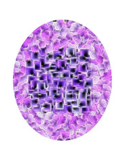 Oval shape design