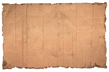 Corrugated Cardboard