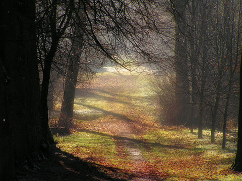 M&auml;rchenwald