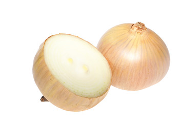onion