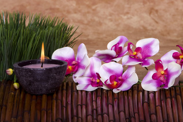 Spa candle and orchid flowers
