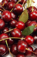 cherry group