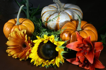 Pumpkin and Flowers