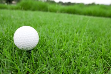 Golf ball and Club view 2