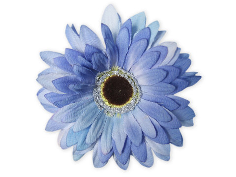 Fototapeta Flower