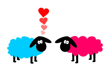 verliebte schafe
