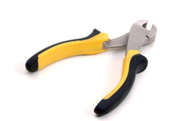 Obraz premium Princers to bite.