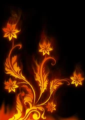 Foto auf Alu-Dibond Blumen Flamme © Giordano Aita