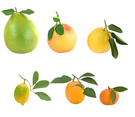 Pamelo, tangerines, grapefruits and orange isolated on white bac