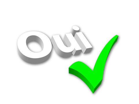 "Oui" (image 3D ) avec coche