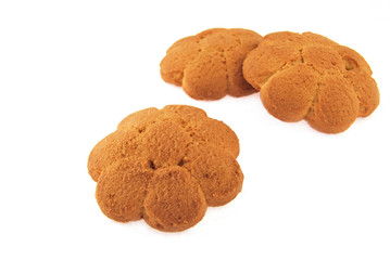 thin captain on a white background