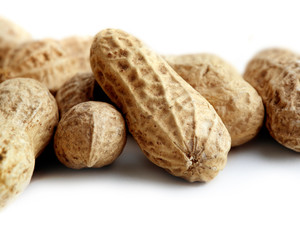 Peanuts isolated on white background