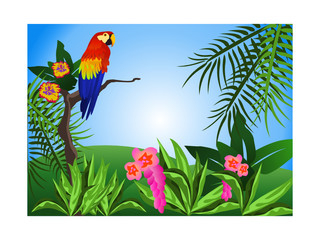 Illustration of a tropical scene