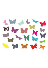 lots of different multicolored butterflies -vector collection