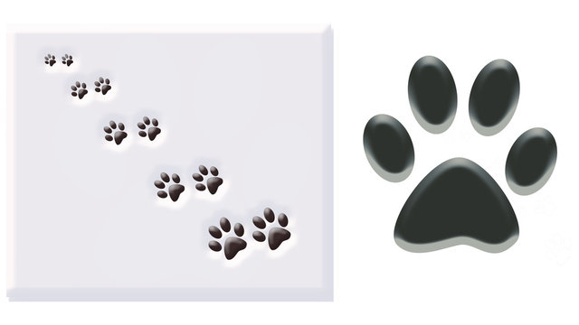 pegada de c&atilde;o