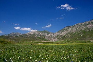 Monti Sibillini