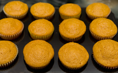 Pumpkin Muffins
