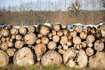 Holzstapel, Holzmiete im Winter