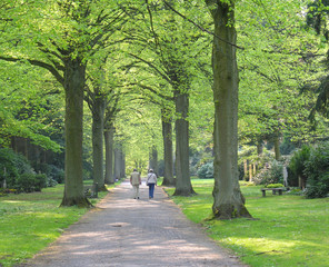 Sonntags Spaziergang