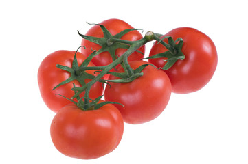 fresh juicy tomatoes