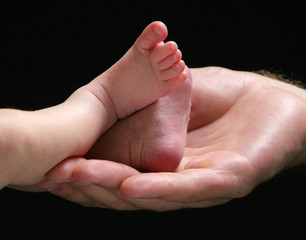 Fototapeta premium baby feet