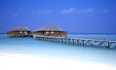 bungalows meeru island