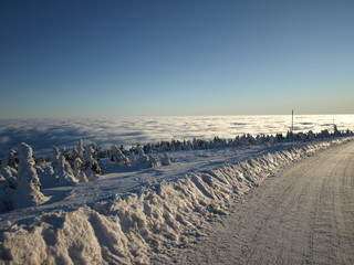 Weitblick